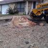 STUMP GRINDING